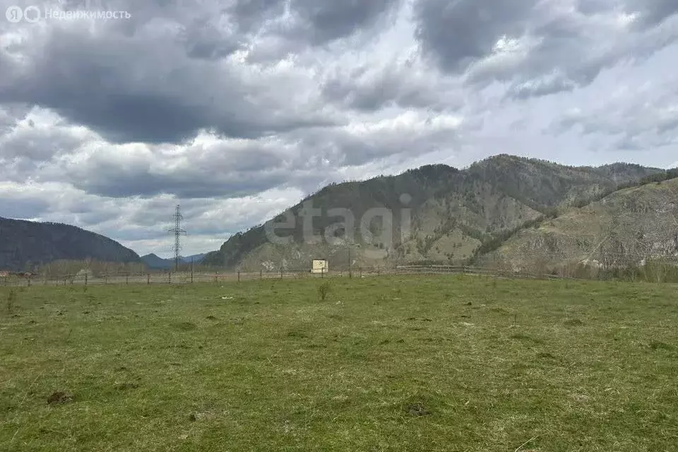 Участок в Чемальский район, поселок Верх-Анос, Центральная улица ... - Фото 1