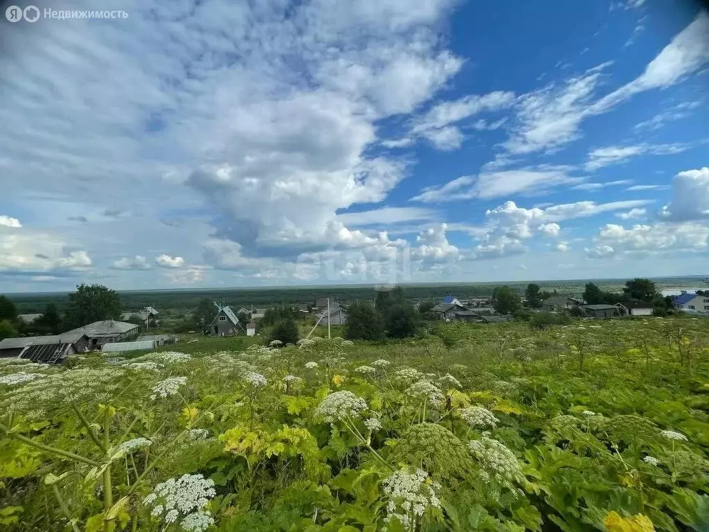 Участок в село Зеленец, Новосельская улица (12 м) - Фото 0