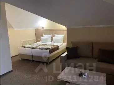 Комната Ставропольский край, Кисловодск Аджарская ул., 13 (24.0 м) - Фото 1