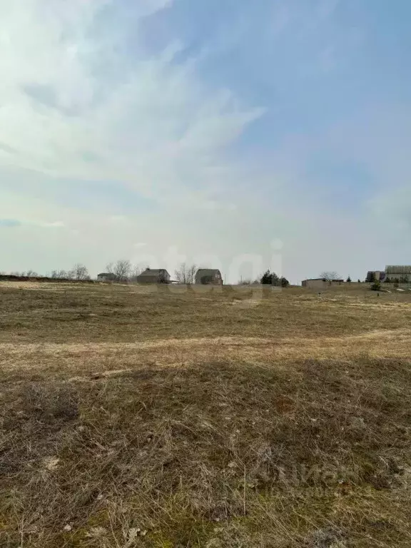 Участок в Ростовская область, Белокалитвинский район, Нижнепоповское ... - Фото 2