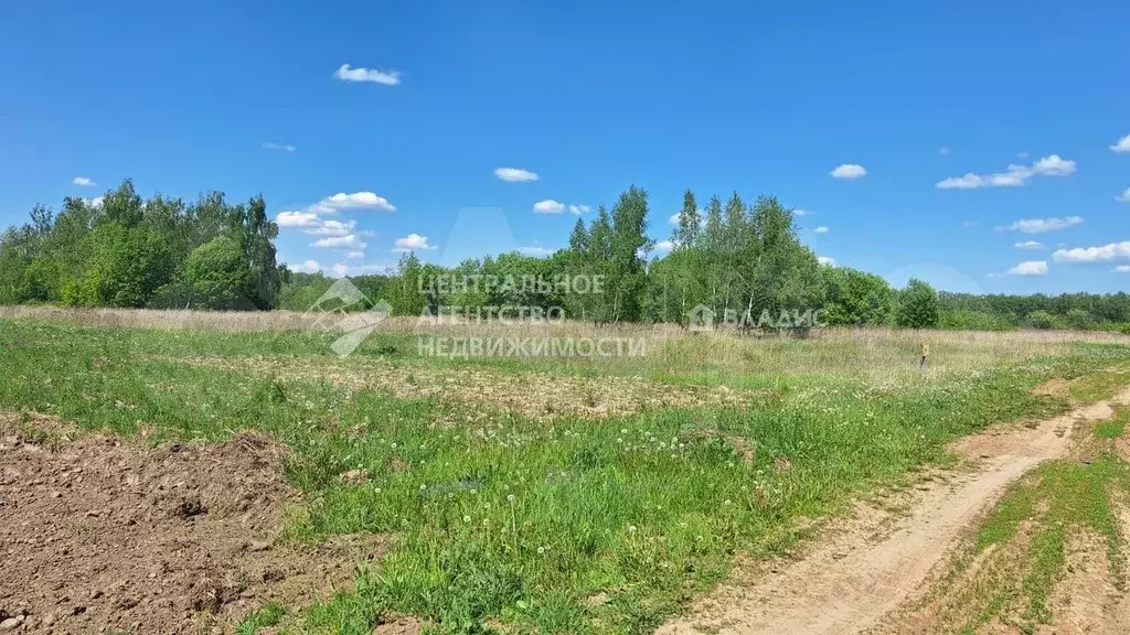 Участок 30 сот. (личное подсобное хозяйство (лпх)) - Фото 1