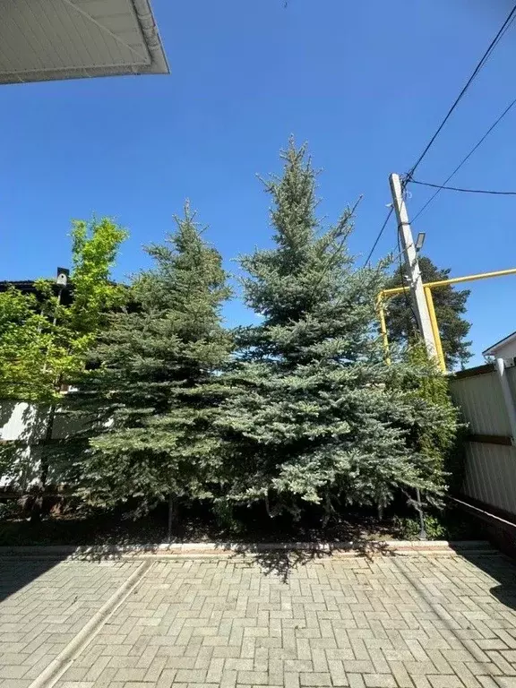 Дом в Свердловская область, Верхняя Пышма городской округ, пос. ... - Фото 2