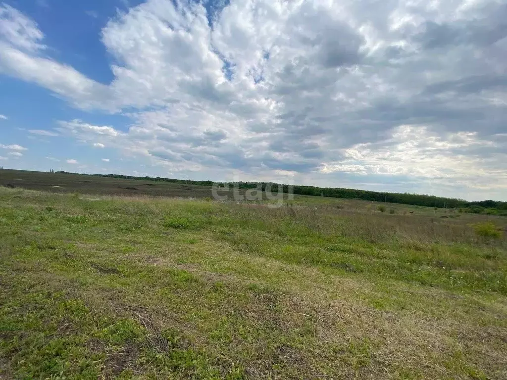 Участок в Белгородская область, Губкин ул. Молодогвардейцев (15.0 ... - Фото 0