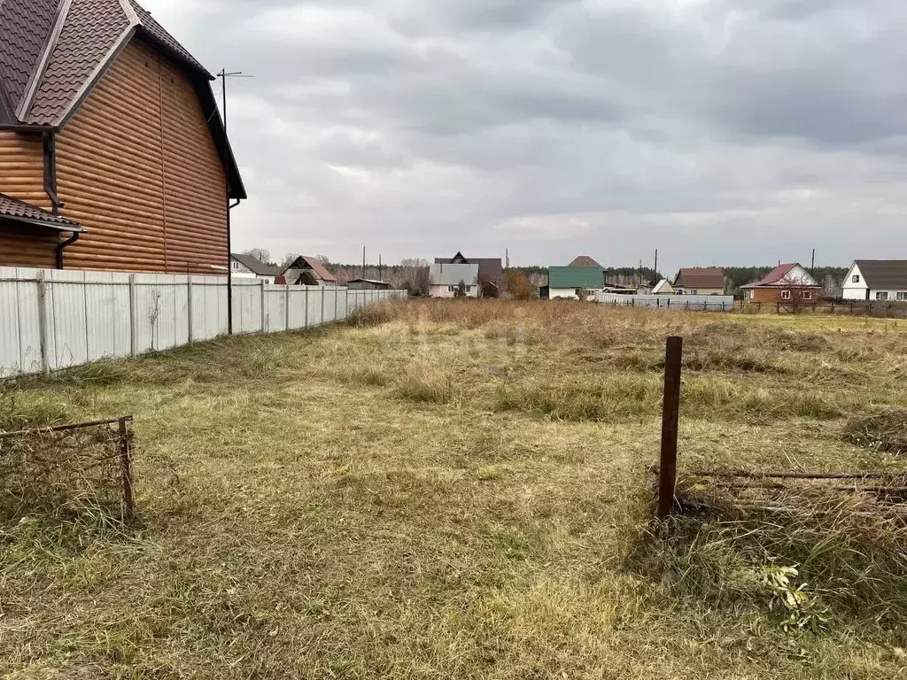 Участок в Алтайский край, Барнаул городской округ, пос. Черницк ул. ... - Фото 1