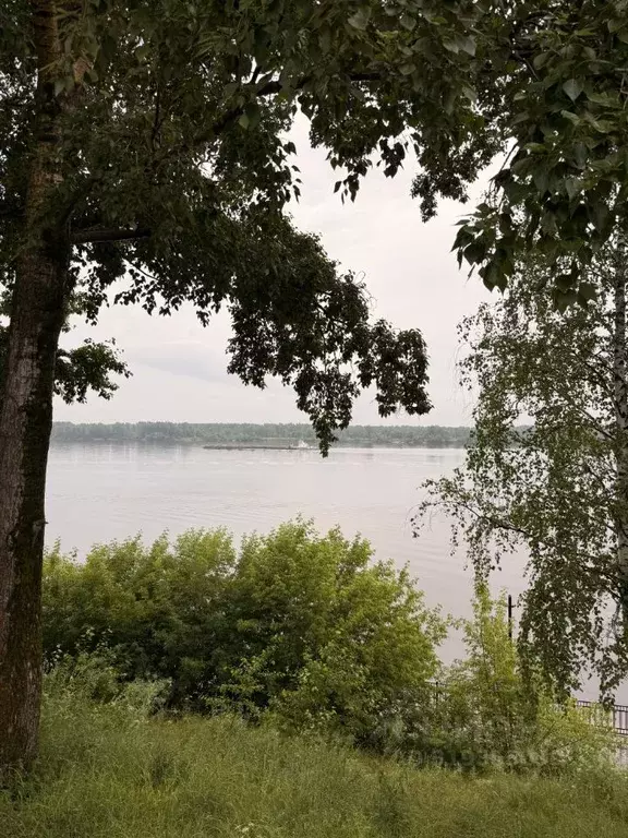 2-к кв. Пермский край, Краснокамск ул. 50 лет Октября, 9 (40.3 м) - Фото 1