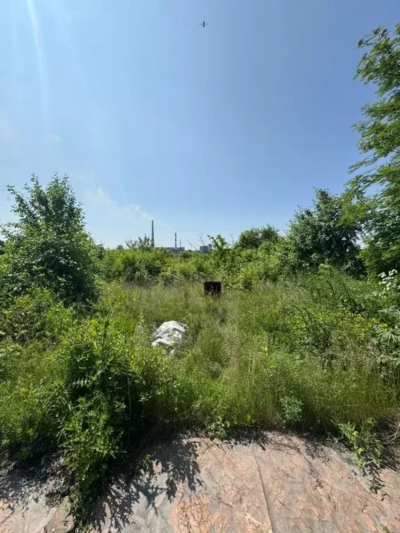 Участок в Омская область, Омск СОСН Дружба тер.,  (13.5 сот.) - Фото 1