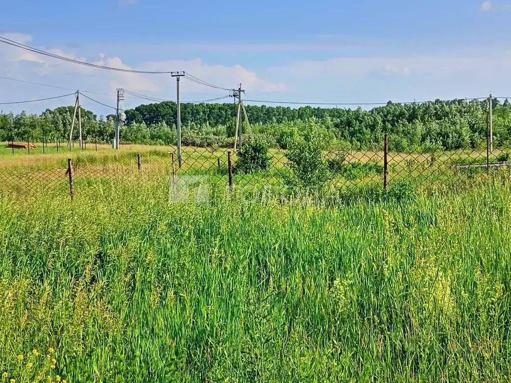 Участок в Алтайский край, Барнаул городской округ, пос. Центральный ... - Фото 1