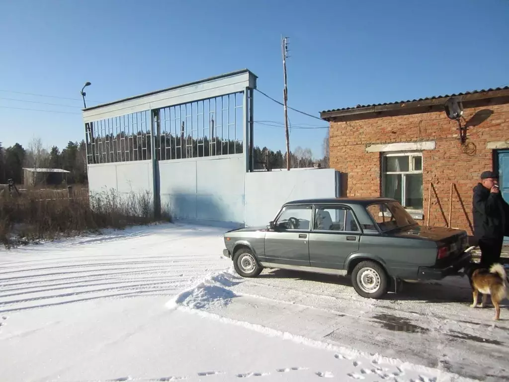 Помещение свободного назначения в Новосибирская область, Сузун рп ул. ... - Фото 1