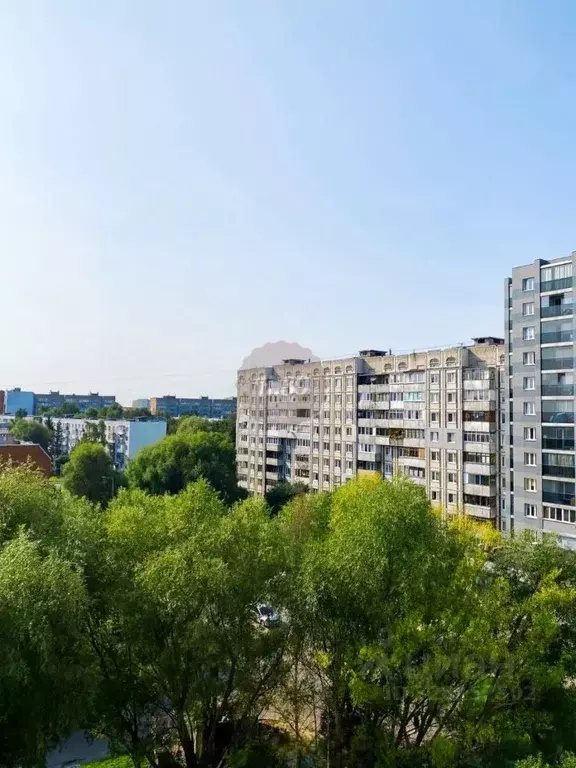 1-к кв. Калининградская область, Калининград ул. Старшины Дадаева, 66 ... - Фото 1