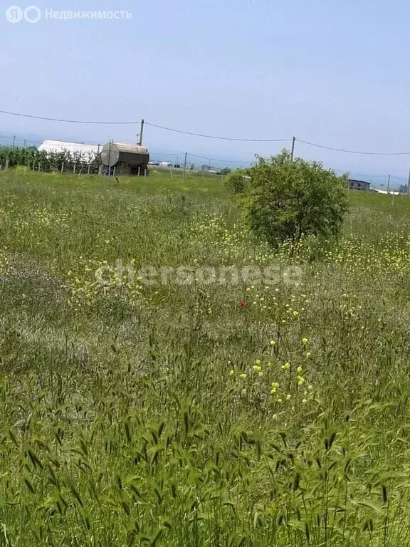 Участок в Береговое, Новосёловская улица (7.5 м) - Фото 2