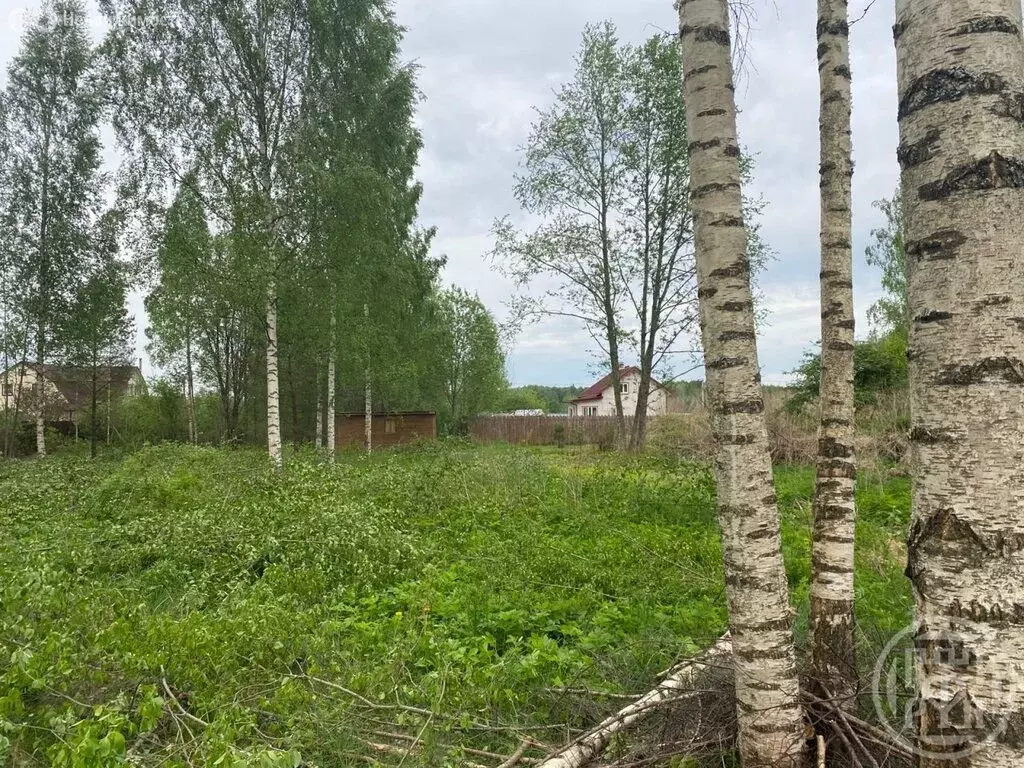 Участок в Заклинское сельское поселение, деревня Бетково (15 м) - Фото 2