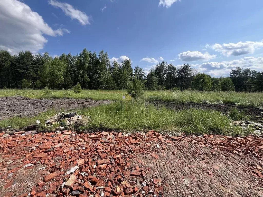 Участок в Московская область, Богородский городской округ, Следово кп ... - Фото 2
