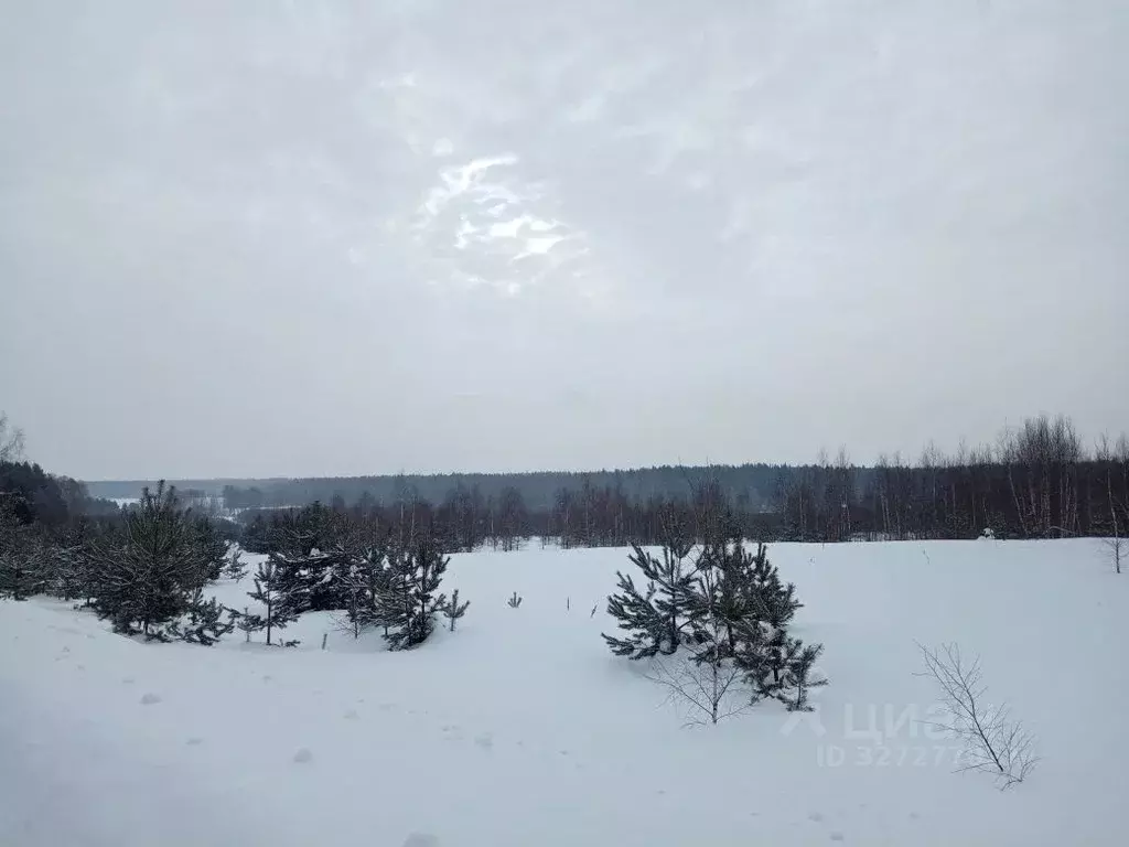 Участок в Нижегородская область, Богородский муниципальный округ, д. ... - Фото 2