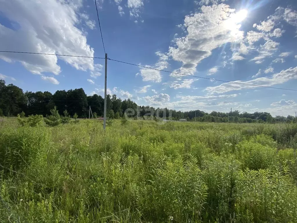 Участок в Калужская область, Калуга городской округ, д. Груздово уч205 ... - Фото 1