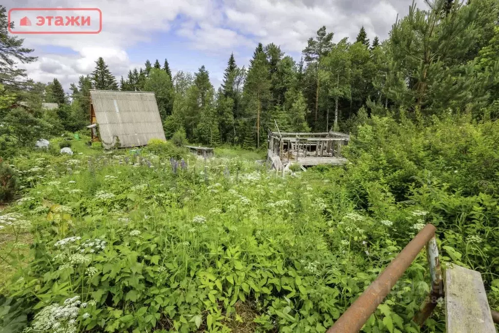 Дом в Карелия, Прионежский район, Нововилговское с/пос, Университет ... - Фото 0
