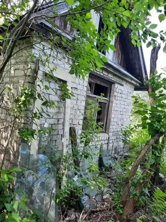 Участок в Нижегородская область, Нижний Новгород Победа СНТ, 350 (5.4 ... - Фото 2