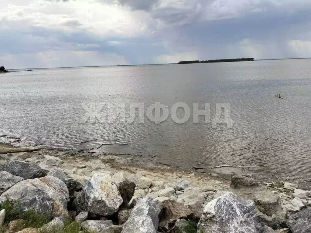 Участок в Новосибирская область, Искитимский район, Быстровский ... - Фото 1