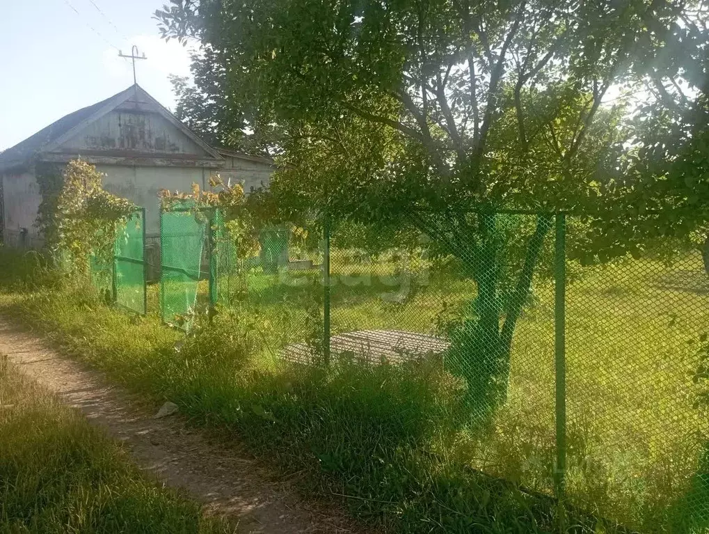 Дом в Костромская область, Кострома Труженик-2 садоводческое ... - Фото 1