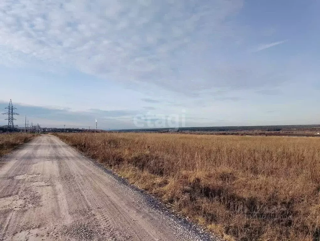 Участок в Московская область, Серпухов городской округ, д. Балково  ... - Фото 0