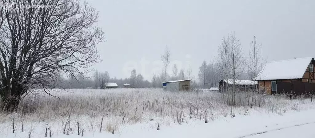 Участок в Тульская область, городской округ Тула, деревня Харино (12 ... - Фото 2