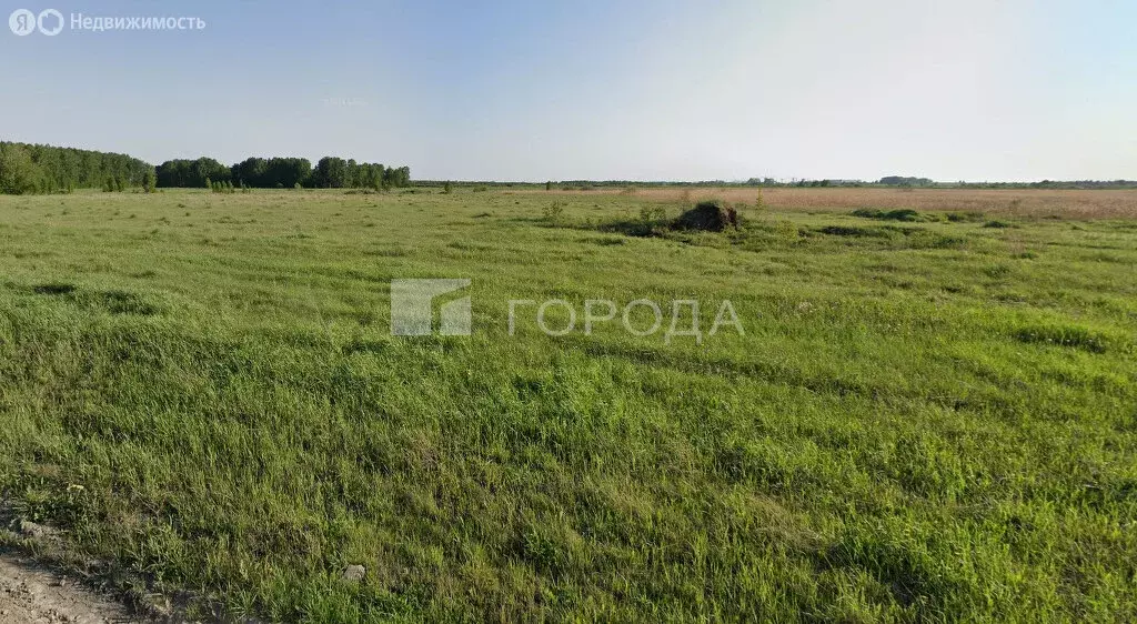 Участок в село Марусино, микрорайон Лебяжье, улица Дружбы (10.05 м) - Фото 1