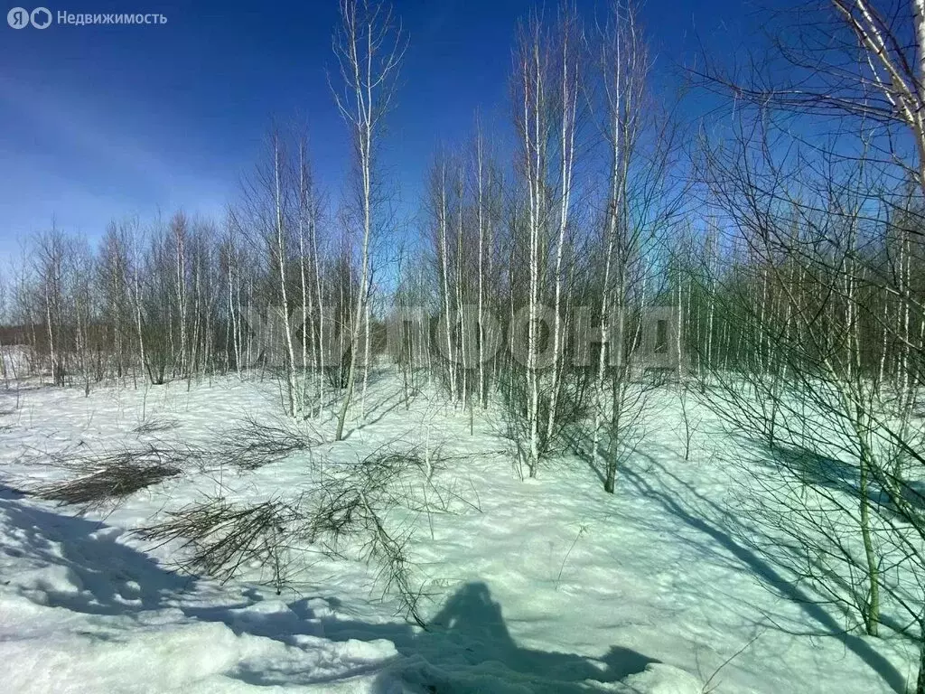 Участок в Барлакский сельсовет (11.2 м) - Фото 2