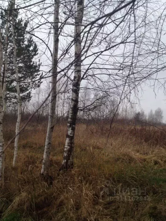 Участок в Ленинградская область, Всеволожский район, Рахьинское ... - Фото 1