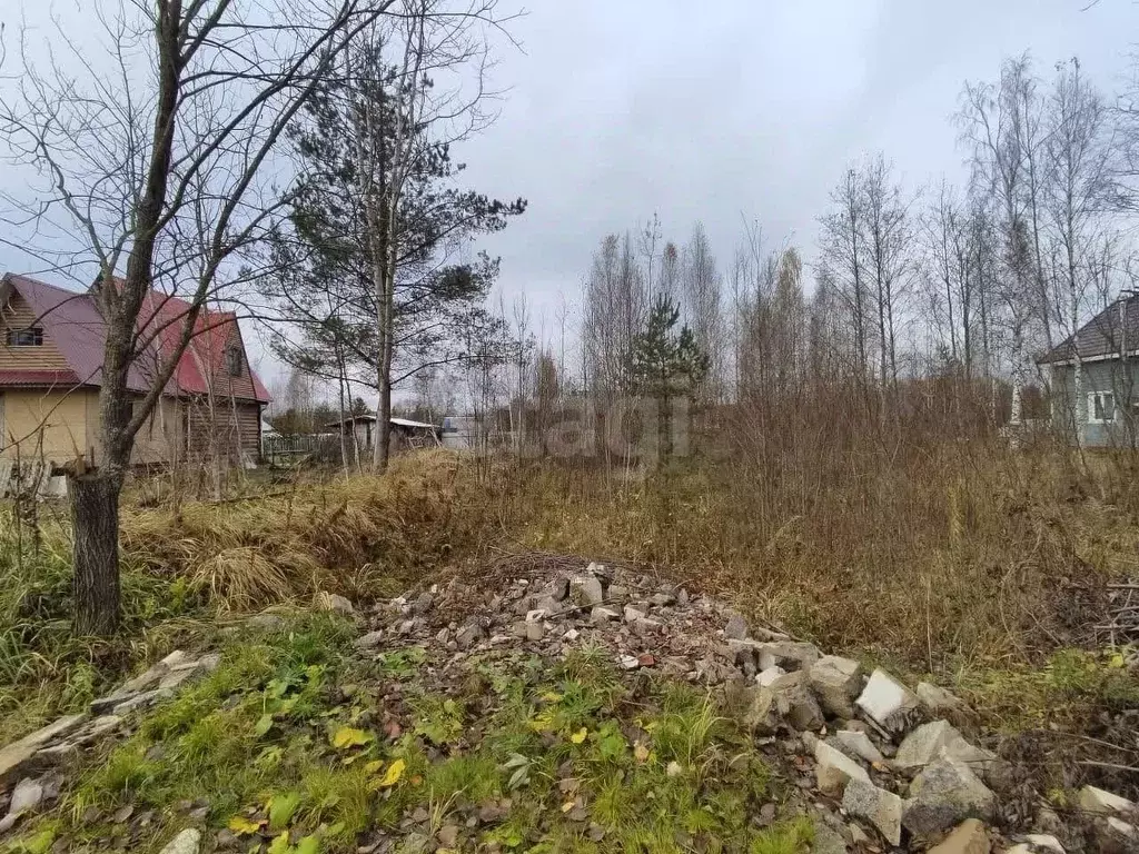 Участок в Ленинградская область, Кировское городское поселение, ... - Фото 1