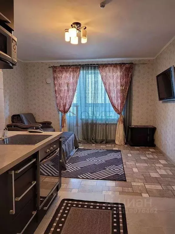 1-к кв. Новосибирская область, Новосибирск ул. Писарева, 125 (30.0 м) - Фото 0