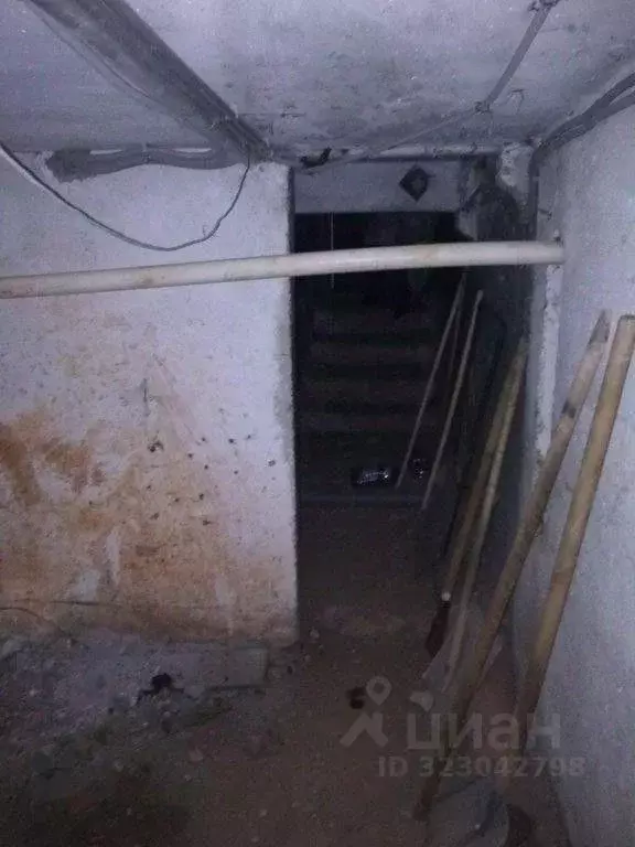 Помещение свободного назначения в Пермский край, Пермь ул. Степана ... - Фото 2