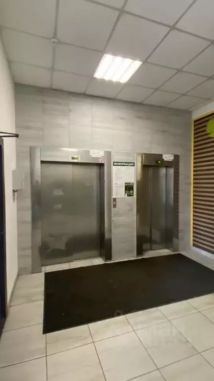 2-к кв. Ленинградская область, Мурино Всеволожский район, бул. ... - Фото 1