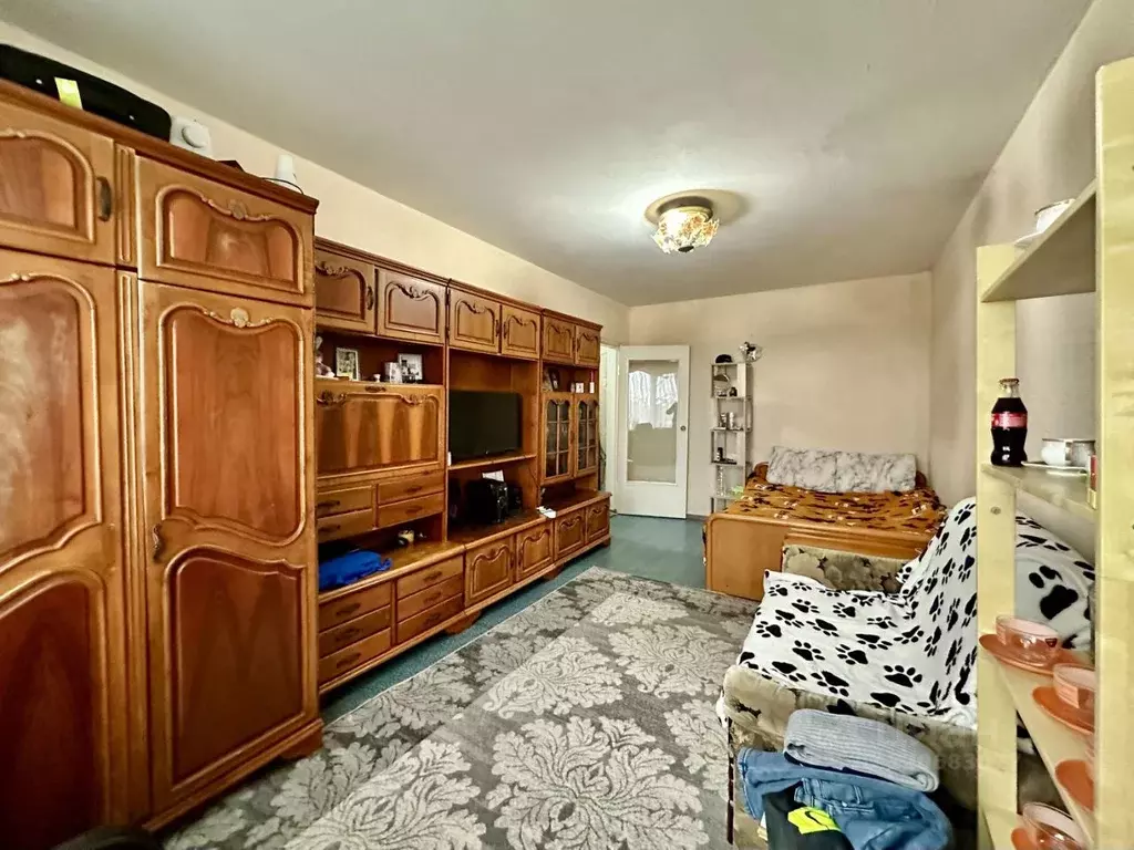 1-к кв. Краснодарский край, Сочи Центральный мкр,  (30.0 м) - Фото 1