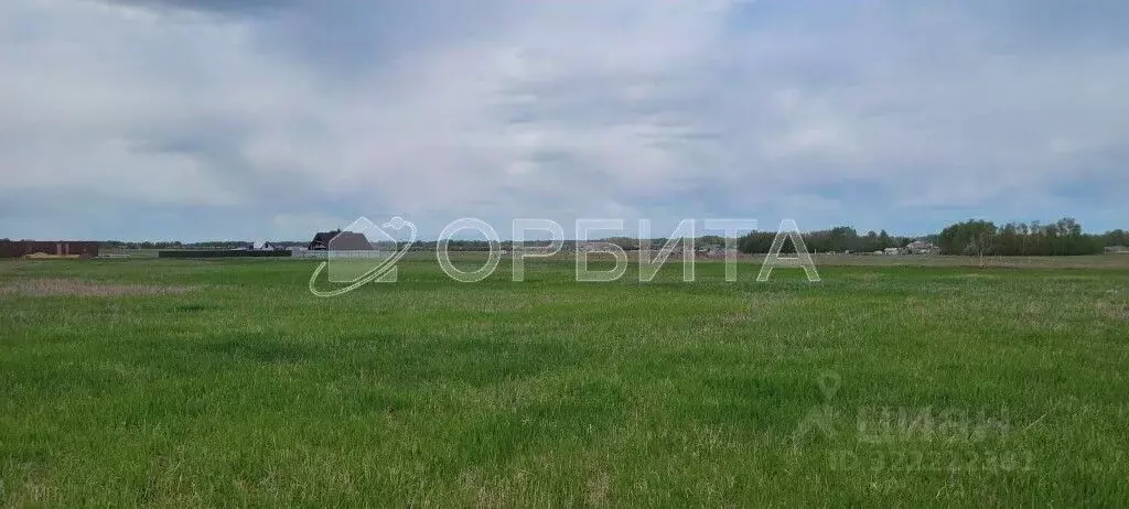 Участок в Тюменская область, Тюменский муниципальный округ, ... - Фото 0