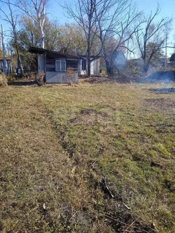 Участок в Еврейская автономная область, Смидовичский район, ЦЭС ... - Фото 1