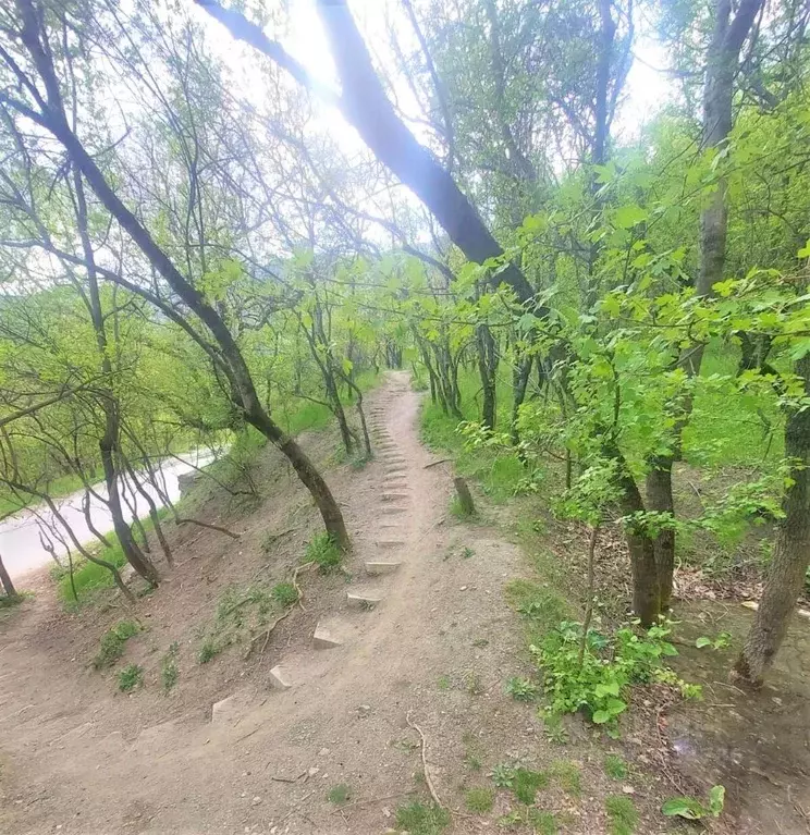 Участок в Крым, Ялта ул. Кирова, 154Б (10.0 сот.) - Фото 1