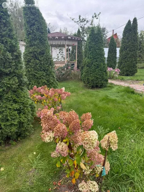 Дом в Московская область, Раменский муниципальный округ, СНТ Раменье ... - Фото 2