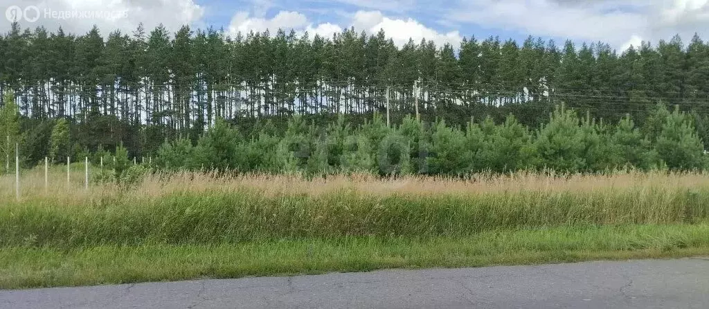 Участок в Красноярка, Кленовая улица (10 м) - Фото 0