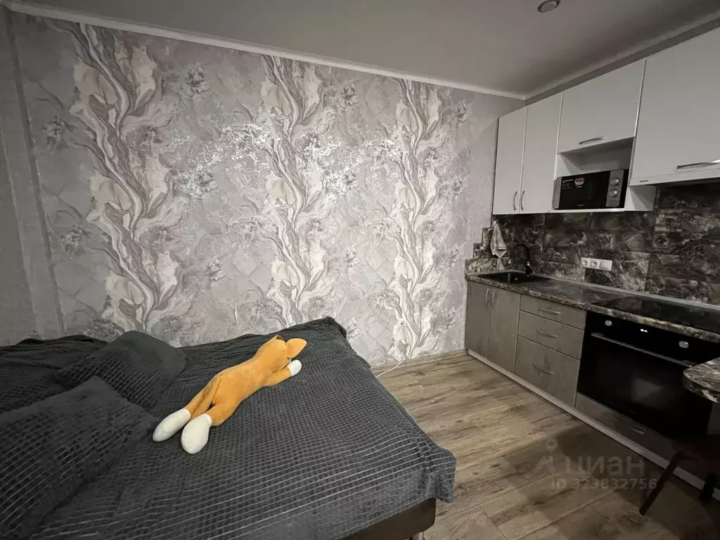 Студия Омская область, Омск ул. Мишина, 2 (30.0 м) - Фото 1