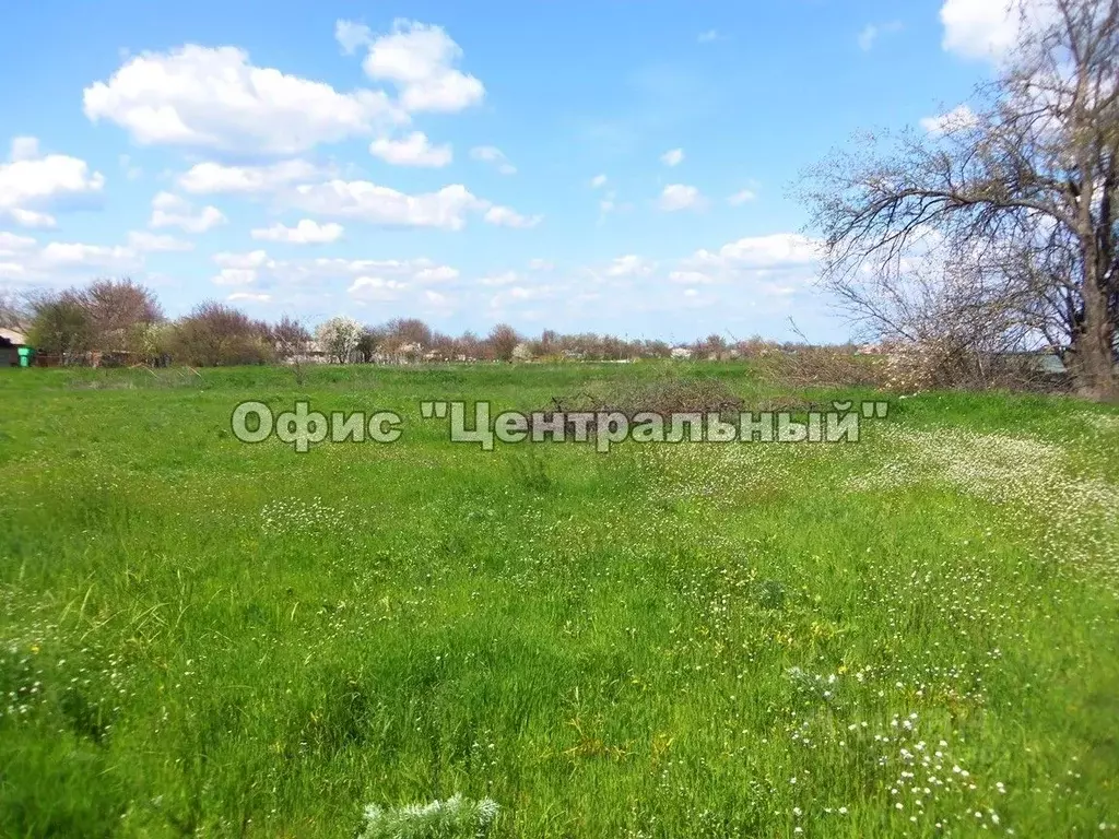 Участок в Ростовская область, Багаевский район, Манычское с/пос, ... - Фото 2