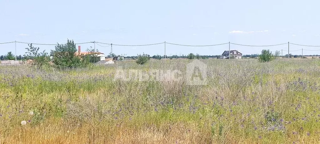 Участок в Ростовская область, Волгодонск Черноморская ул. (6.0 сот.) - Фото 2