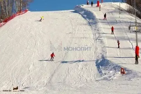 Участок в Нижегородская область, Нижний Новгород с. Шава,  (12.0 сот.) - Фото 2