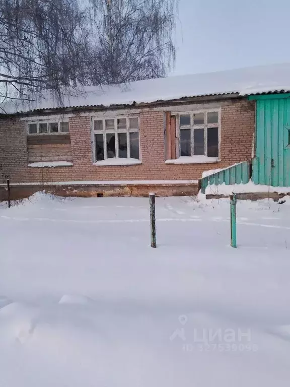 Помещение свободного назначения в Удмуртия, Сарапульский район, с. ... - Фото 2