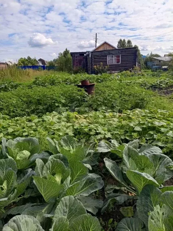Дом в Тюменская область, Тюменский муниципальный округ, Собственников ... - Фото 0