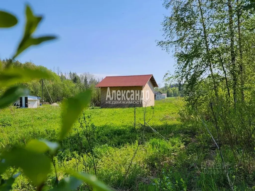 Участок в Карелия, Лахденпохский район, Хийтольское с/пос, пос. Асилан ... - Фото 1