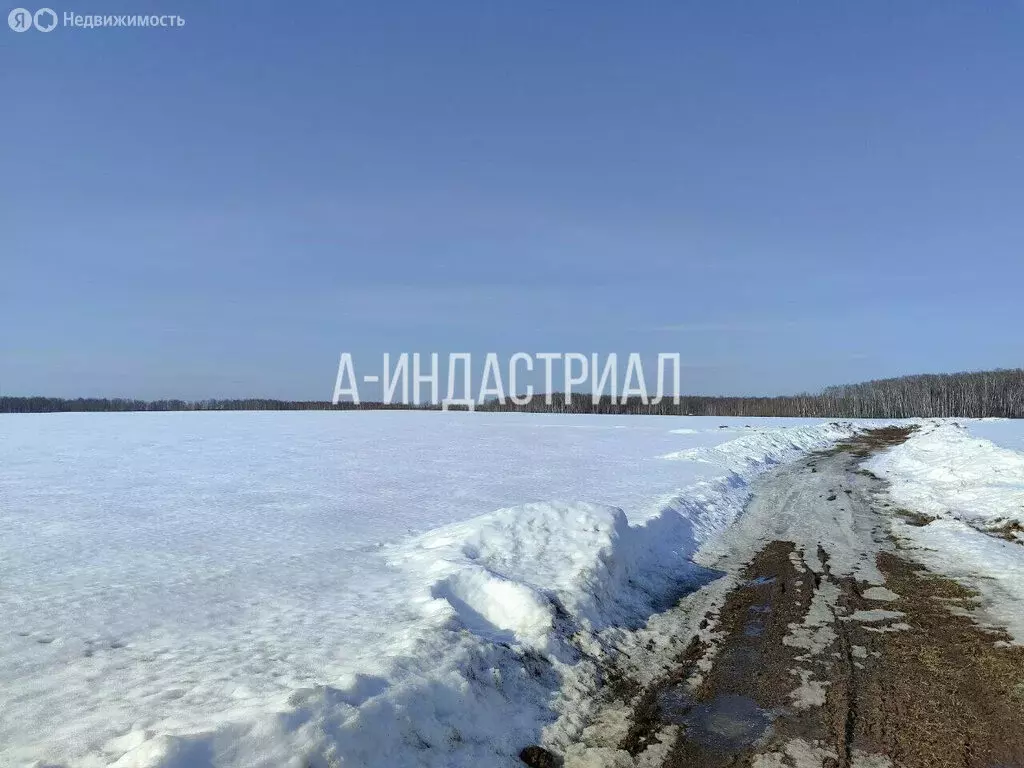 Участок в микрорайон Белые Столбы, Станционная улица, 3с2 (55 м) - Фото 1