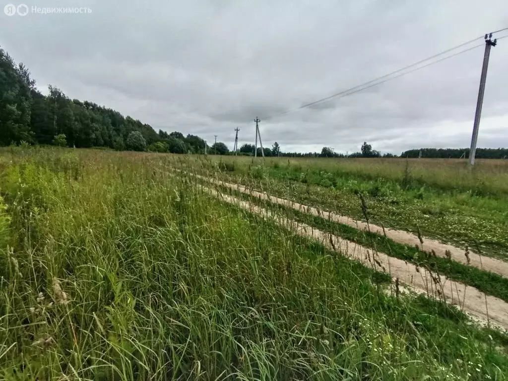 Участок в Нижегородская область, Дальнеконстантиновский муниципальный ... - Фото 1