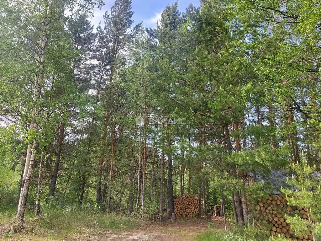 Участок в Коми, Сыктывкар Чит мкр, 60 (6.7 сот.) - Фото 1