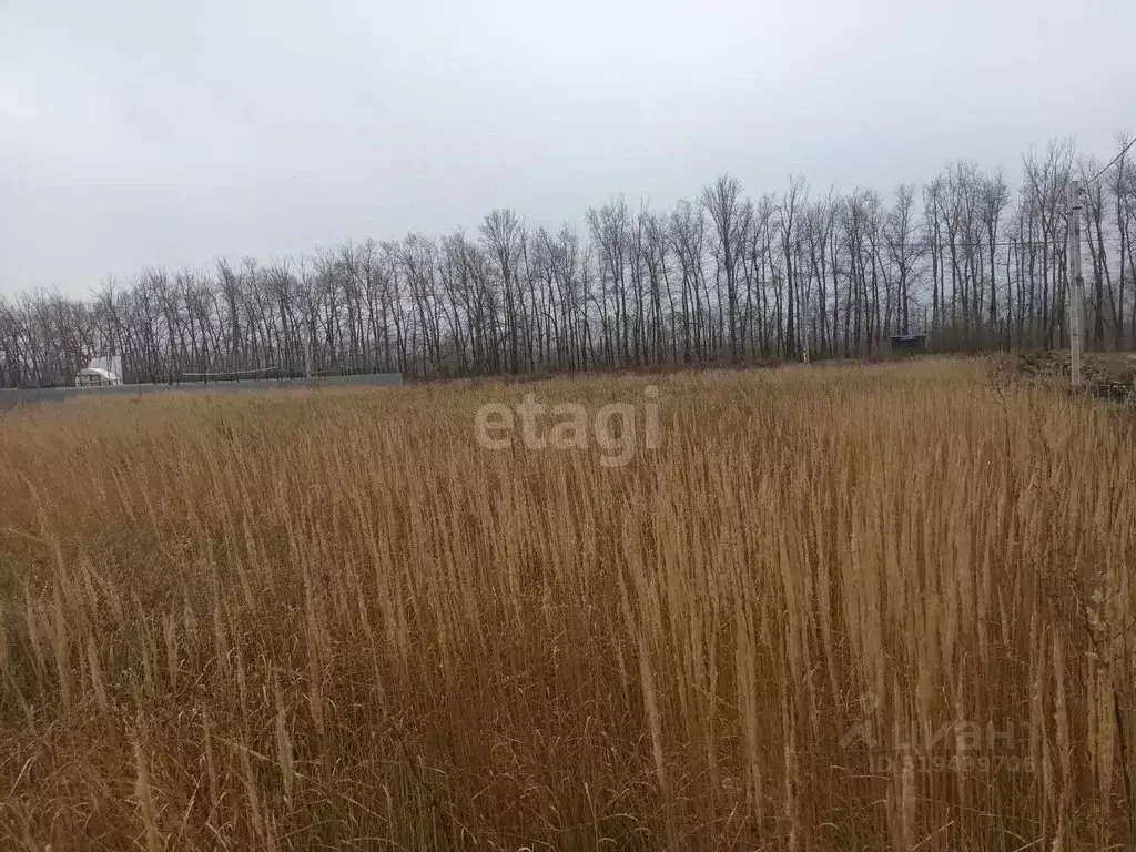 Участок в Ульяновская область, Ульяновск городской округ, с. Луговое ... - Фото 0