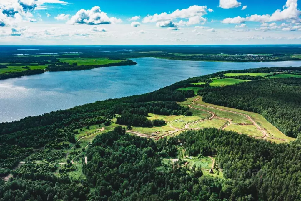 Участок в Ленинградская область, Приозерский район, Красноозерное ... - Фото 1