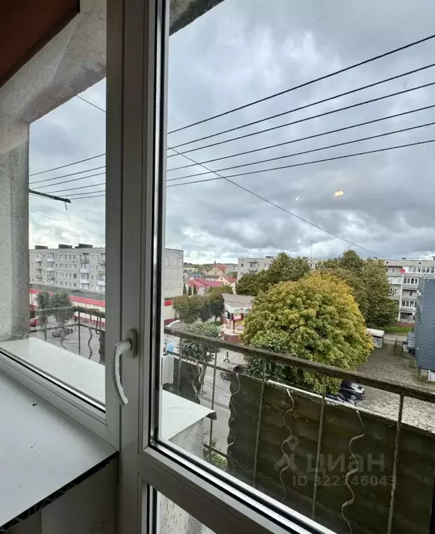 2-к кв. Калининградская область, Светлый Советская ул., 1 (46.0 м) - Фото 2